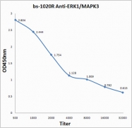 bs-1020R - MAPK3 / ERK1