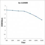 bs-11040R - Bestrophin-1