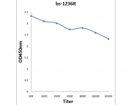 bs-1236R - Involucrin / IVL