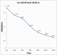 bs-1957R - VEGF-A