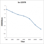 bs-2297R - Enterovirus 71