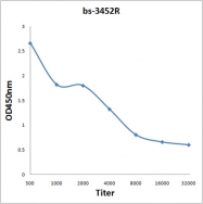 bs-3452R - Retinoblastoma-associated protein / RB1