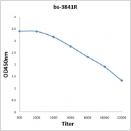 bs-3841R - EIF3F / EIF3S5