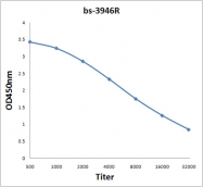 bs-3946R - Isocitric dehydrogenase alpha / IDH3A