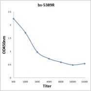 bs-5389R - HDAC2