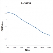 bs-5513R - NF-kB p105 / p50