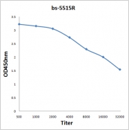 bs-5515R - NFKBIA / IKBA