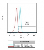 bs-6002R - DNAJB4 / HSP40 homolog