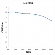 bs-6279R - Autotaxin / ENPP2