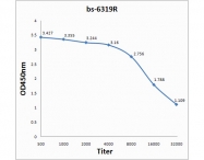 bs-6319R - Interleukin-1 beta / IL-1B