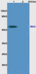 bs-7768R - RCC2
