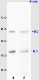 bs-7827R - RCL