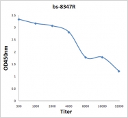 bs-8347R - UBC9 / UBE2I