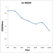 bs-8682R - RAPGEF3