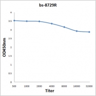 bs-8729R - Tryptophan 5-hydroxylase 2 (TPH2)