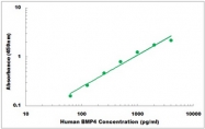 CEK1024 - Human BMP4 ELISA Kit