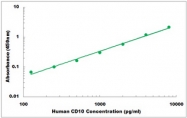 CEK1051 - Human CD10 ELISA Kit