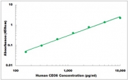 CEK1100 - Human CD36 ELISA Kit