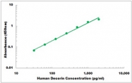 CEK1136 - Human Decorin ELISA Kit