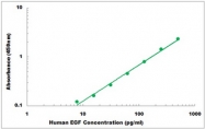CEK1140 - Human EGF ELISA Kit