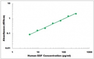 CEK1141 - Human EGF ELISA Kit