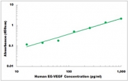 CEK1143 - Human EG-VEGF ELISA Kit