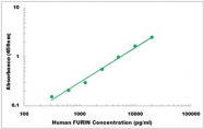 CEK1167 - Human FURIN ELISA Kit
