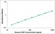 CEK1174 - Human G-CSF ELISA Kit