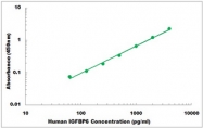 CEK1196 - Human IGFBP6 ELISA Kit