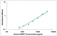 CEK1197 - Human IGFBP7 ELISA Kit