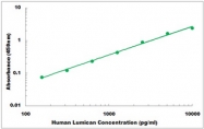 CEK1258 - Human Lumican ELISA Kit