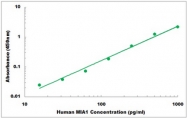 CEK1267 - Human MIA1 ELISA Kit