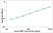 CEK1274 - Human MMP1 ELISA Kit