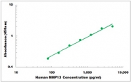CEK1276 - Human MMP13 ELISA Kit