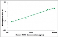 CEK1281 - Human MMP7 ELISA Kit