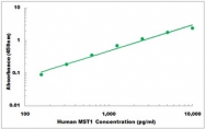 CEK1286 - Human MST1 ELISA Kit