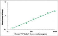 CEK1332 - Human TGF beta 1 ELISA Kit