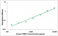 CEK1345 - Human TIMP3 ELISA Kit