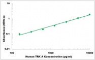 CEK1353 - Human TRK A ELISA Kit