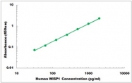 CEK1365 - Human WISP1 ELISA Kit