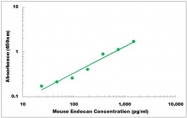 CEK1457 - Mouse Endocan ELISA Kit