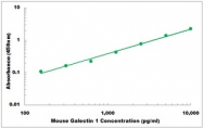CEK1465 - Mouse Galectin 1 ELISA Kit