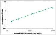 CEK1482 - Mouse IGFBP5 ELISA Kit
