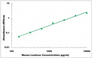 CEK1522 - Mouse Lumican ELISA Kit