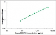 CEK1528 - Mouse MERTK ELISA Kit