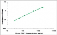 CEK1573 - Mouse WISP1 ELISA Kit