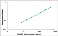 CEK1594 - Rat EGF ELISA Kit