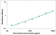 CEK1625 - Rat Lumican ELISA Kit