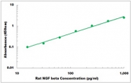 CEK1630 - Rat NGF beta ELISA Kit