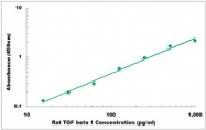 CEK1634 - Rat TGF beta 1 ELISA Kit